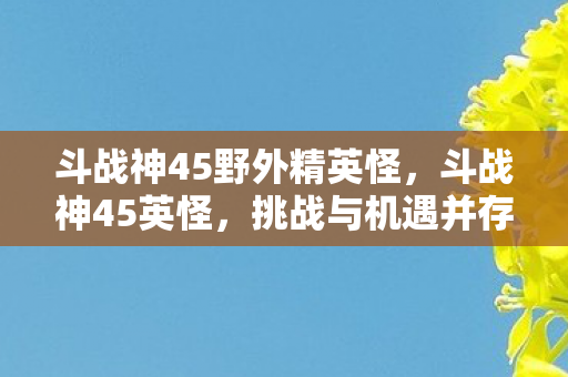 斗战神45野外精英怪，斗战神45英怪，挑战与机遇并存