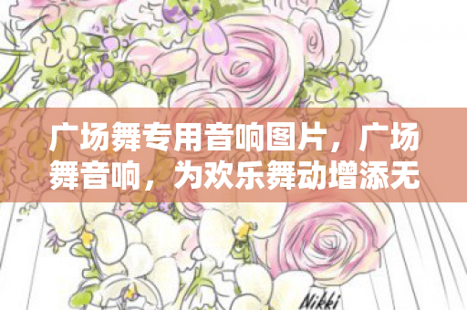 广场舞专用音响图片，广场舞音响，为欢乐舞动增添无限可能
