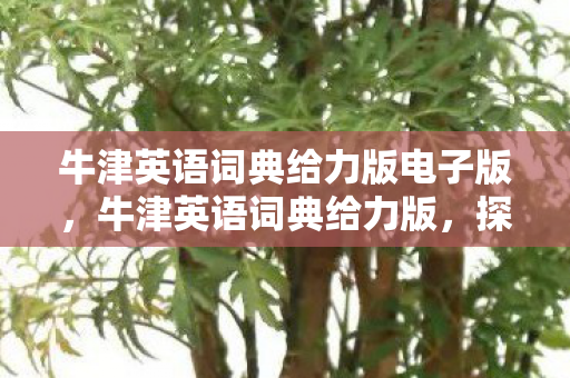 牛津英语词典给力版电子版，牛津英语词典给力版，探索词汇的无限可能