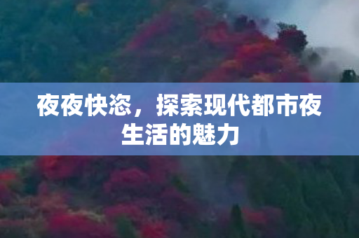 夜夜快恣，探索现代都市夜生活的魅力