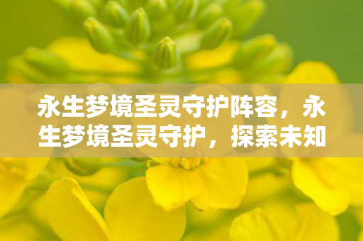 永生梦境圣灵守护阵容，永生梦境圣灵守护，探索未知世界的神秘之旅