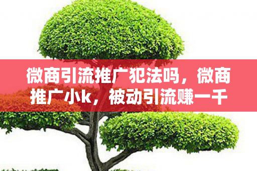 微商引流推广犯法吗，微商推广小k，被动引流赚一千的实战攻略