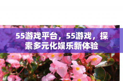 55游戏平台，55游戏，探索多元化娱乐新体验