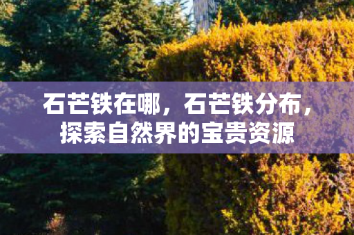 石芒铁在哪，石芒铁分布，探索自然界的宝贵资源
