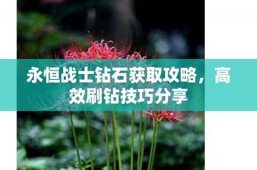 永恒战士钻石获取攻略，高效刷钻技巧分享
