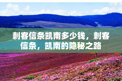 刺客信条凯南多少钱，刺客信条，凯南的隐秘之路
