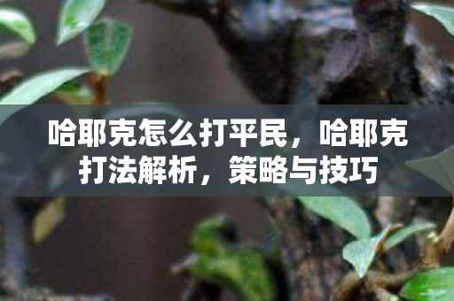 哈耶克怎么打平民，哈耶克打法解析，策略与技巧