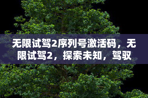 无限试驾2序列号激活码，无限试驾2，探索未知，驾驭未来
