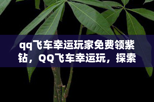 qq飞车幸运玩家免费领紫钻，QQ飞车幸运玩，探索游戏内的惊喜与机遇