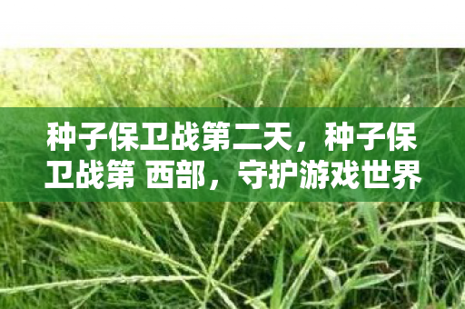 种子保卫战第二天，种子保卫战第 西部，守护游戏世界的纯净与公平