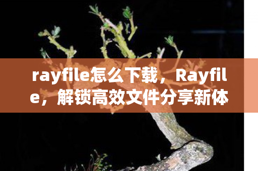 rayfile怎么下载，Rayfile，解锁高效文件分享新体验