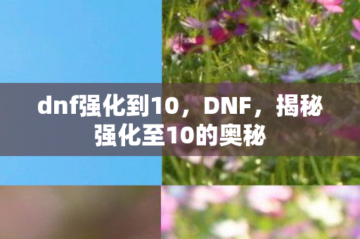 dnf强化到10，DNF，揭秘强化至10的奥秘