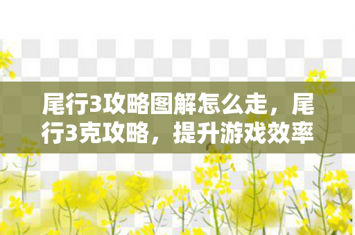 尾行3攻略图解怎么走，尾行3克攻略，提升游戏效率与体验的全面指南
