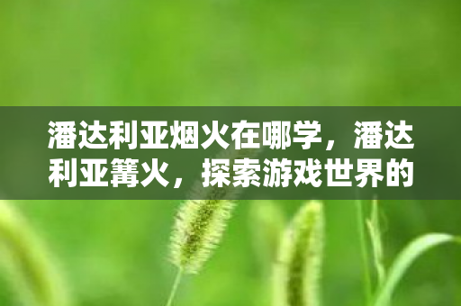 潘达利亚烟火在哪学，潘达利亚篝火，探索游戏世界的奇幻之旅