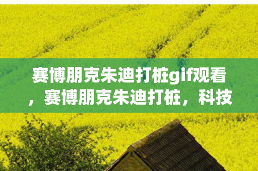 赛博朋克朱迪打桩gif观看，赛博朋克朱迪打桩，科技与艺术的完美融合