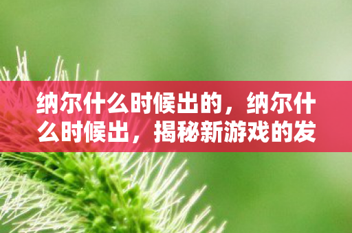 纳尔什么时候出的，纳尔什么时候出，揭秘新游戏的发布时间表