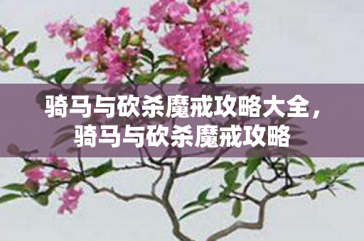 骑马与砍杀魔戒攻略大全，骑马与砍杀魔戒攻略