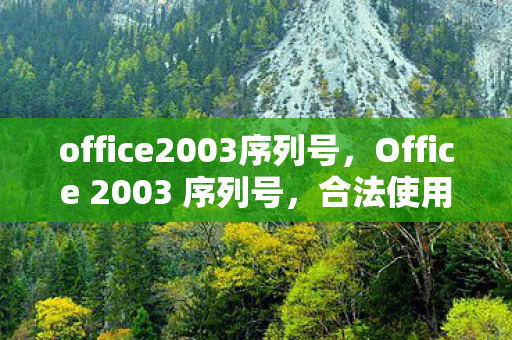 office2003序列号，Office 2003 序列号，合法使用与获取途径