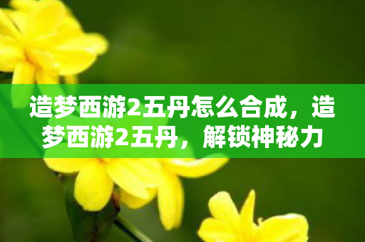 造梦西游2五丹怎么合成，造梦西游2五丹，解锁神秘力量，提升战斗实力