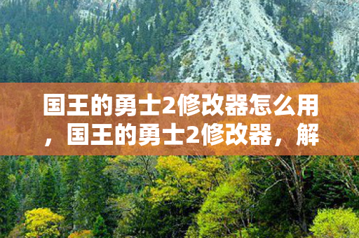 国王的勇士2修改器怎么用，国王的勇士2修改器，解锁无限可能的冒险之旅