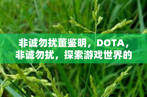 非诚勿扰董鉴明，DOTA，非诚勿扰，探索游戏世界的深度与广度
