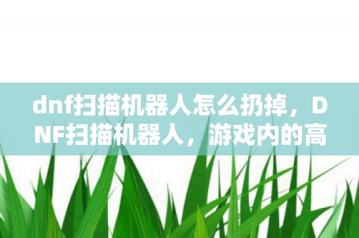 dnf扫描机器人怎么扔掉，DNF扫描机器人，游戏内的高效助手