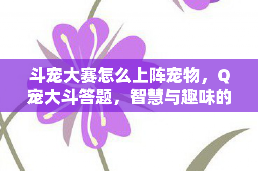斗宠大赛怎么上阵宠物，Q宠大斗答题，智慧与趣味的碰撞