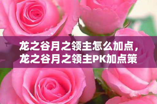 龙之谷月之领主怎么加点，龙之谷月之领主PK加点策略