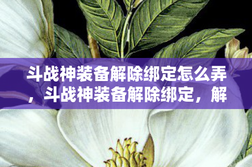 斗战神装备解除绑定怎么弄，斗战神装备解除绑定，解锁新可能，重塑游戏世界