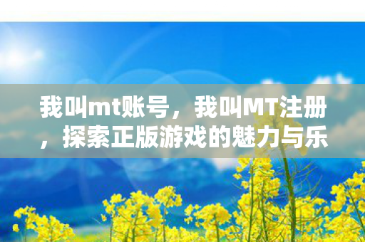 我叫mt账号，我叫MT注册，探索正版游戏的魅力与乐趣