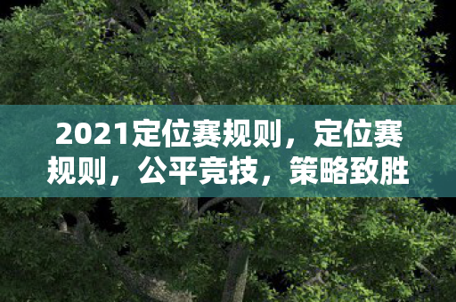 2021定位赛规则，定位赛规则，公平竞技，策略致胜