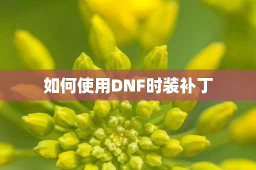 如何使用DNF时装补丁
