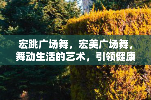 宏跳广场舞，宏美广场舞，舞动生活的艺术，引领健康风尚