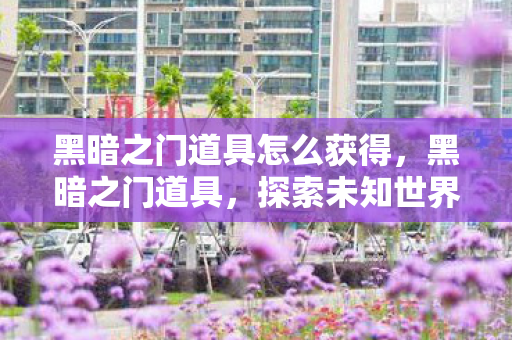 黑暗之门道具怎么获得，黑暗之门道具，探索未知世界的神秘钥匙