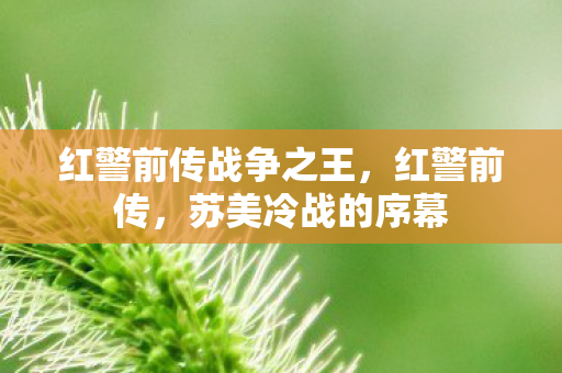 红警前传战争之王，红警前传，苏美冷战的序幕