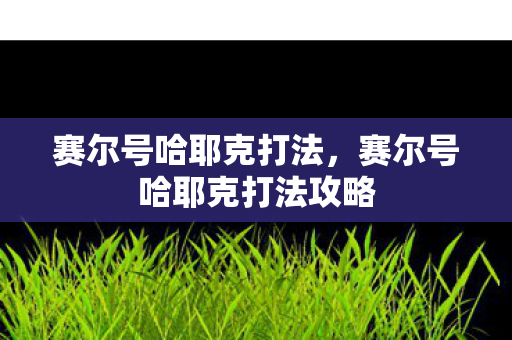 赛尔号哈耶克打法，赛尔号哈耶克打法攻略