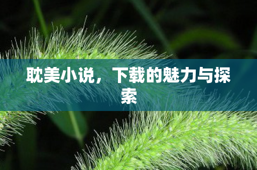 耽美小说，下载的魅力与探索