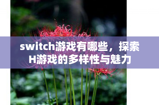 switch游戏有哪些，探索H游戏的多样性与魅力