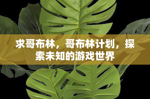 求哥布林，哥布林计划，探索未知的游戏世界