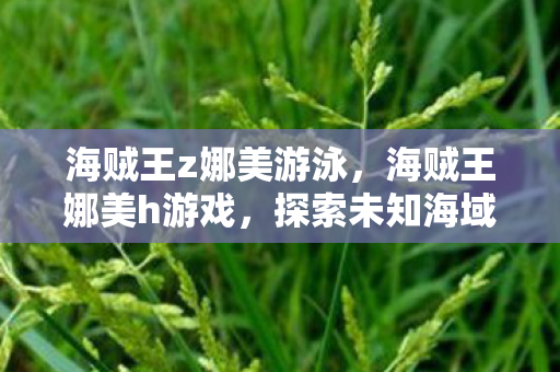 海贼王z娜美游泳，海贼王娜美h游戏，探索未知海域的冒险之旅