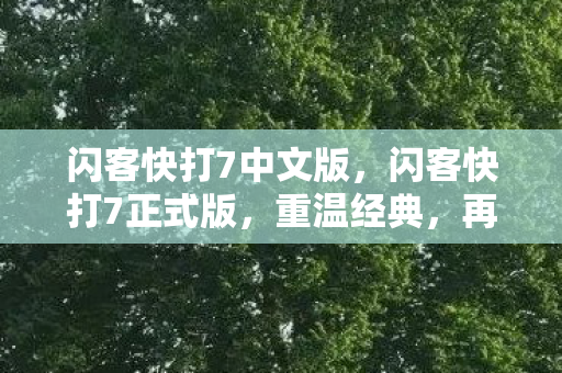 闪客快打7中文版，闪客快打7正式版，重温经典，再燃战斗激情