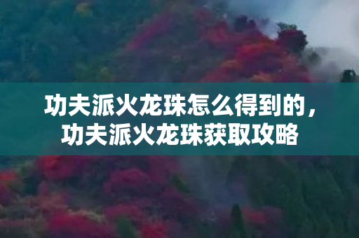 功夫派火龙珠怎么得到的，功夫派火龙珠获取攻略