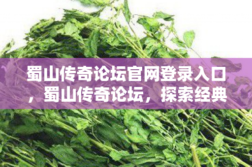 蜀山传奇论坛官网登录入口，蜀山传奇论坛，探索经典游戏的多元世界