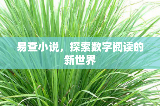 易查小说，探索数字阅读的新世界