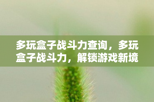 多玩盒子战斗力查询，多玩盒子战斗力，解锁游戏新境界的利器