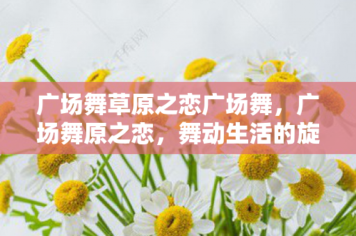 广场舞草原之恋广场舞，广场舞原之恋，舞动生活的旋律