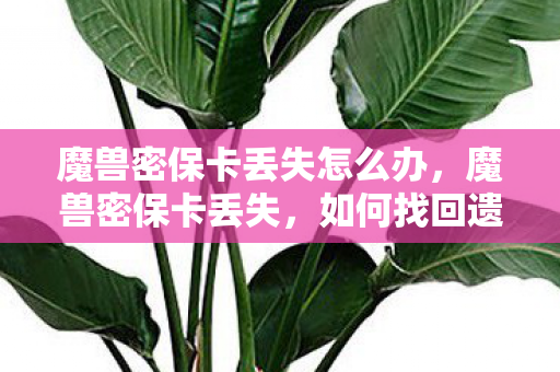 魔兽密保卡丢失怎么办，魔兽密保卡丢失，如何找回遗失的账号安全？