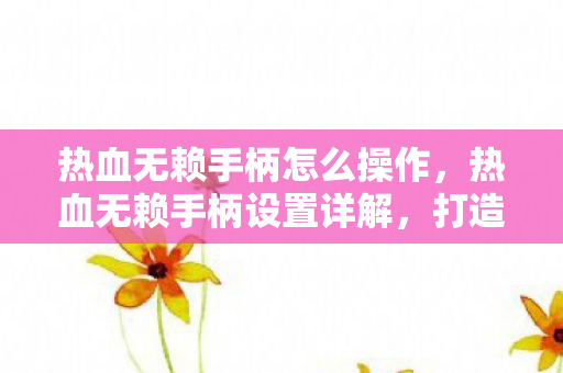 热血无赖手柄怎么操作，热血无赖手柄设置详解，打造流畅游戏体验