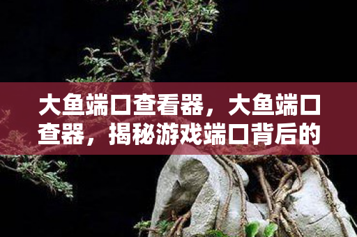 大鱼端口查看器，大鱼端口查器，揭秘游戏端口背后的秘密