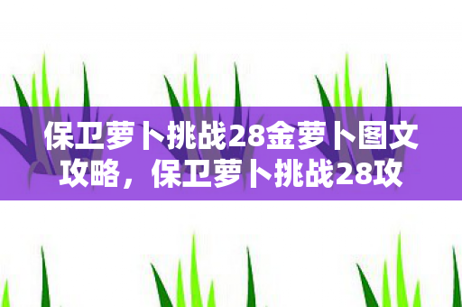 保卫萝卜挑战28金萝卜图文攻略，保卫萝卜挑战28攻略金萝卜布阵图